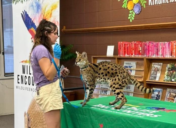 Exotic Animal at the Holdrege Library 